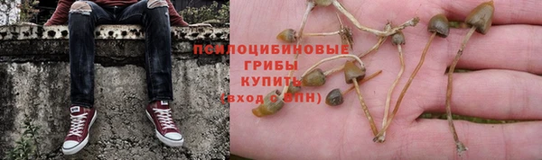 крисы Беломорск