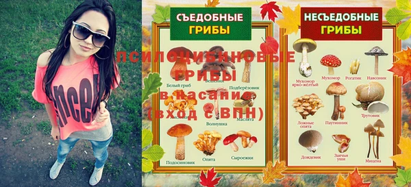 соль ск Белокуриха