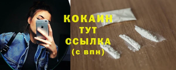 соль ск Белокуриха