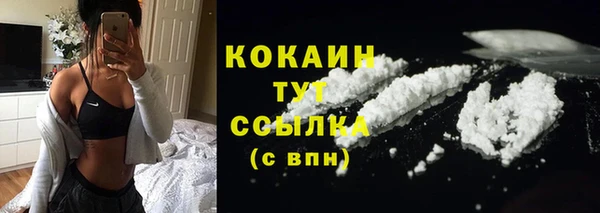 соль ск Белокуриха