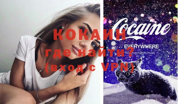 соль ск Белокуриха