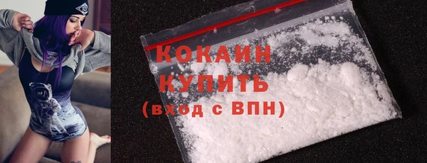 соль ск Белокуриха