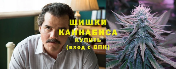 соль ск Белокуриха