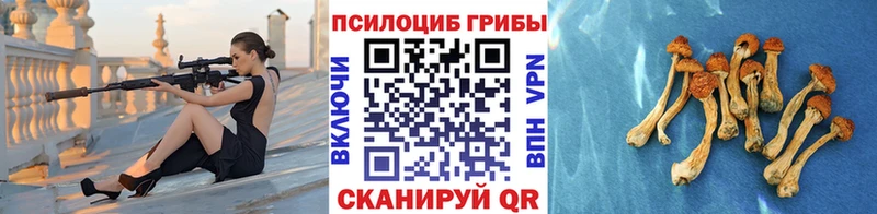 Галлюциногенные грибы GOLDEN TEACHER  Кохма 